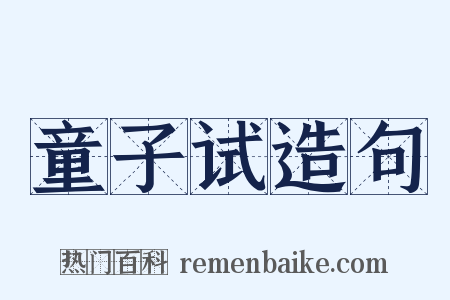 童子试造句是什么意思的图片